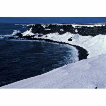 St- Paulseevogelklippen, Bering-Meer Photoausschnitte