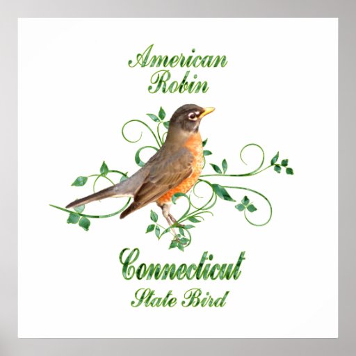Staats-Vogel Robins Connecticut Plakat