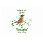 Staats-Vogel Robins Connecticut Postkarte