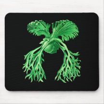 Staghorn Farn Mauspad
