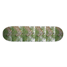 Stand hoch.  Ziel-hohes Giraffen-Skateboard Personalisiertes Skatedeck