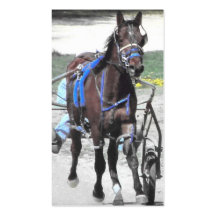 Standardbred Visitenkarten Vorlagen