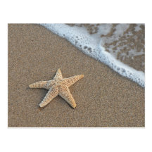 Starfish auf dem Strand Postkarten