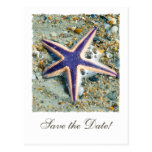 Starfish, die Save the Date Postkarte Wedding sind