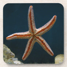 Starfish-Liebe-Untersetzer-Set