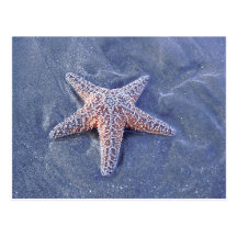 Starfish-Postkarte