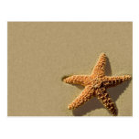 Starfish-tropische Ereignis-und Hochzeits-Einladun Postkarte