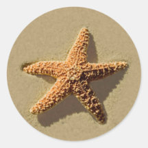 Starfish-tropisches Ereignis und Hochzeits-Umschla