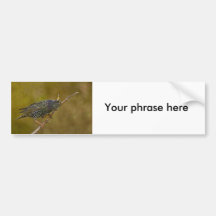 Starling Auto Sticker