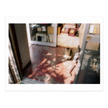stationary shop ポストカード