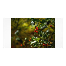 Stechpalme mit Beeren Individuelle Foto Karte