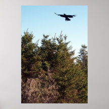 Steigen Plakat an
