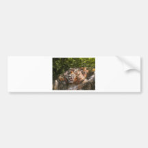 Steinsculpting durch JD Hirsch Autosticker