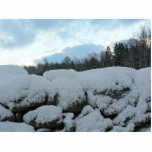 Steinwand mit Schnee Photo Statue