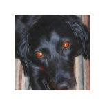Stella Gallery Wrap Canvas