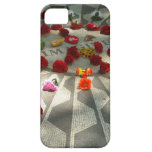 Stellen Sie sich vor Etui Fürs iPhone 5