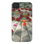 Stellen Sie sich vor iPhone 4 Etuis