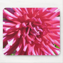 Stern-Dahlie Mousepad