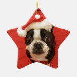 Stern-Verzierung Bostons Sankt Weihnachtsbaum Ornamente