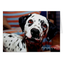 Stich, glorydaysphotography grußkarten