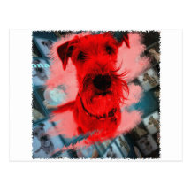 Sticker "Irish Terrier" Postkarten