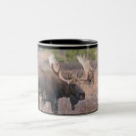 Stier-Elche Kaffee Tasse