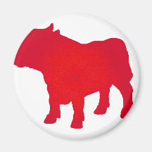 Stier sehen Rot Magnete