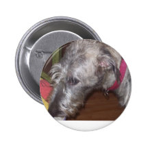 Stift des irischen Wolfhound Anstecknadelbutton