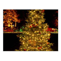 Stille Nacht - Ufer-Morgen-Staats-Park, Oregon Postkarte