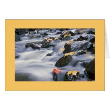 Stille Wasser sind tief Grußkarte