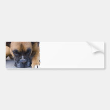 Stillstehende Boxer-HundeAutoaufkleber