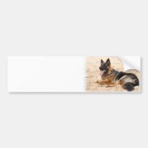 Stillstehender Schäferhund-HundeAutoaufkleber