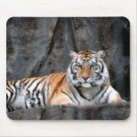 Stillstehender Tiger Mousepad