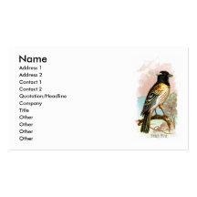 Stitchbird Visitenkarte