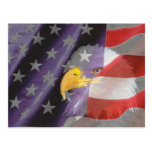 Stolze und patriotische USA-Weißkopfseeadler-Postk