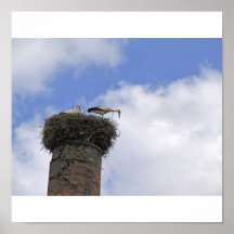 Storch Posterdruck