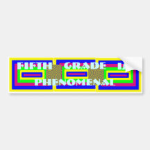 Stoßaufkleber, Lesezeichen, Aufkleber BS55 Autosticker