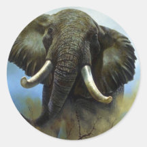 Stoßzähne, Elefanten Sticker