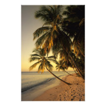 Strand am Sonnenuntergang, Trinidad Photodrucke