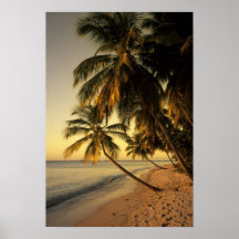 Strand am Sonnenuntergang, Trinidad Posterdrucke
