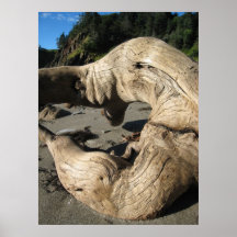 Strand-Baum-Wunder Poster