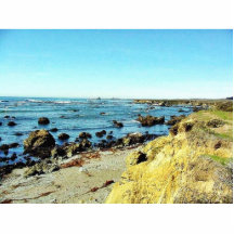 Strand-Küste im Monterey-Ozean-Wasser-Meer Photo Skulptur