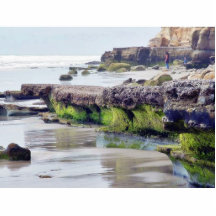 Strand-Ozean schaukelt Moos-Sand Fotoskulpturen