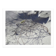 Strandrückstand Postkarte