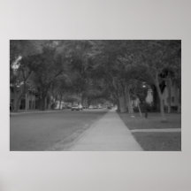 Streetview Poster