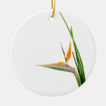 Strelitzia Reginae und Schilf Weinachtsornamente