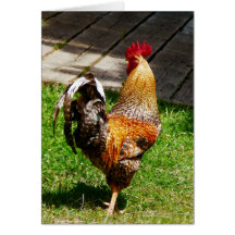 Strutting Hahn Grußkarte