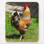 Strutting Hahn Mauspad