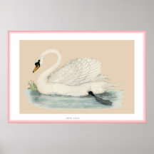 STUMMER SCHWAN-DRUCK POSTERDRUCKE
