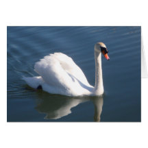 Stummer Schwan-Gruß-Karte